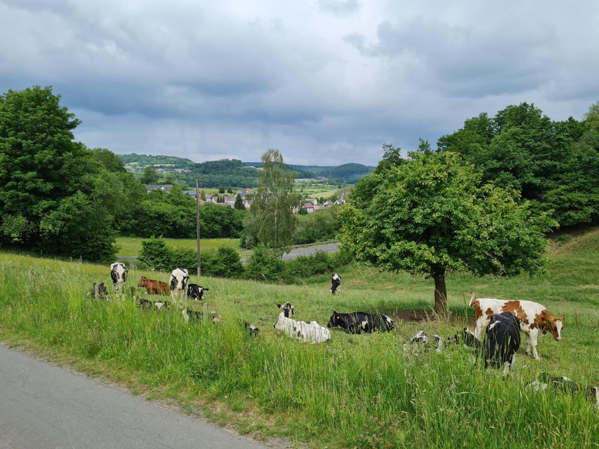 Gasthaus Paula Lejlighed Üdersdorf Eksteriør billede